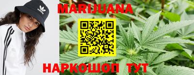 дживик Моздок